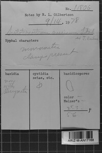 Sistotremastrum suecicum image