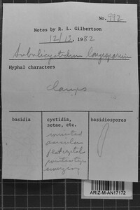 Subulicystidium longisporum image