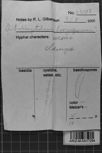 Subulicystidium longisporum image