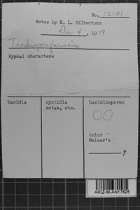 Trechispora farinacea image