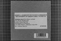 Tubulicium dussii image