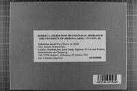 Tubulicium dussii image