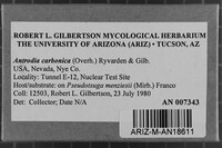 Antrodia carbonica image