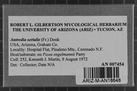 Antrodia serialis image