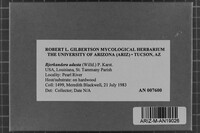 Bjerkandera adusta image