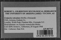 Ceriporia reticulata image