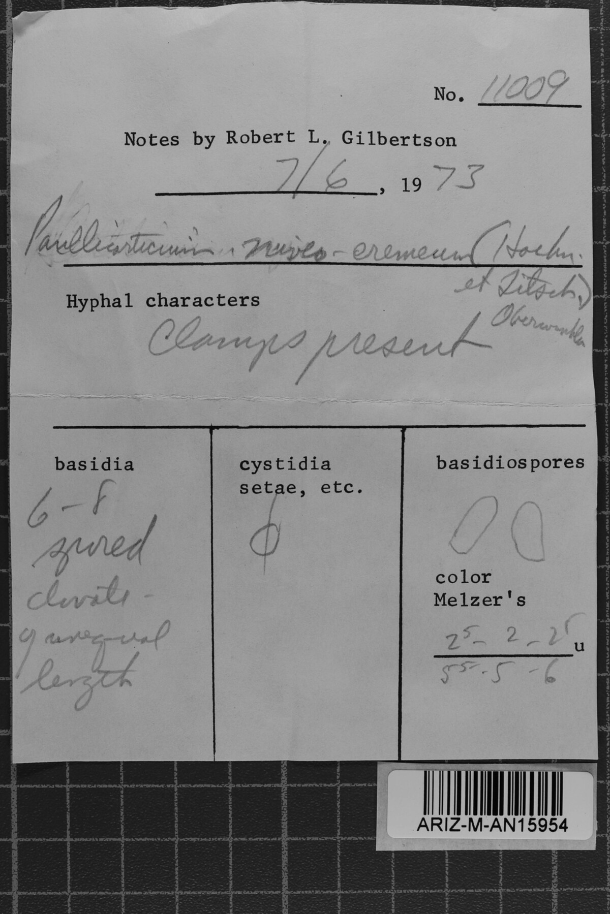 Sistotremastrum niveocremeum image