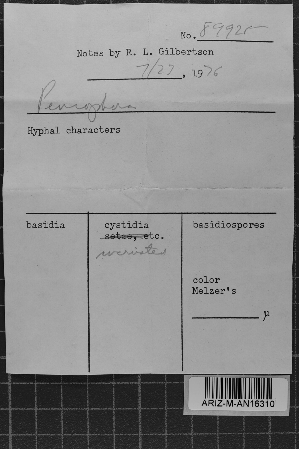 Peniophora pseudopini image