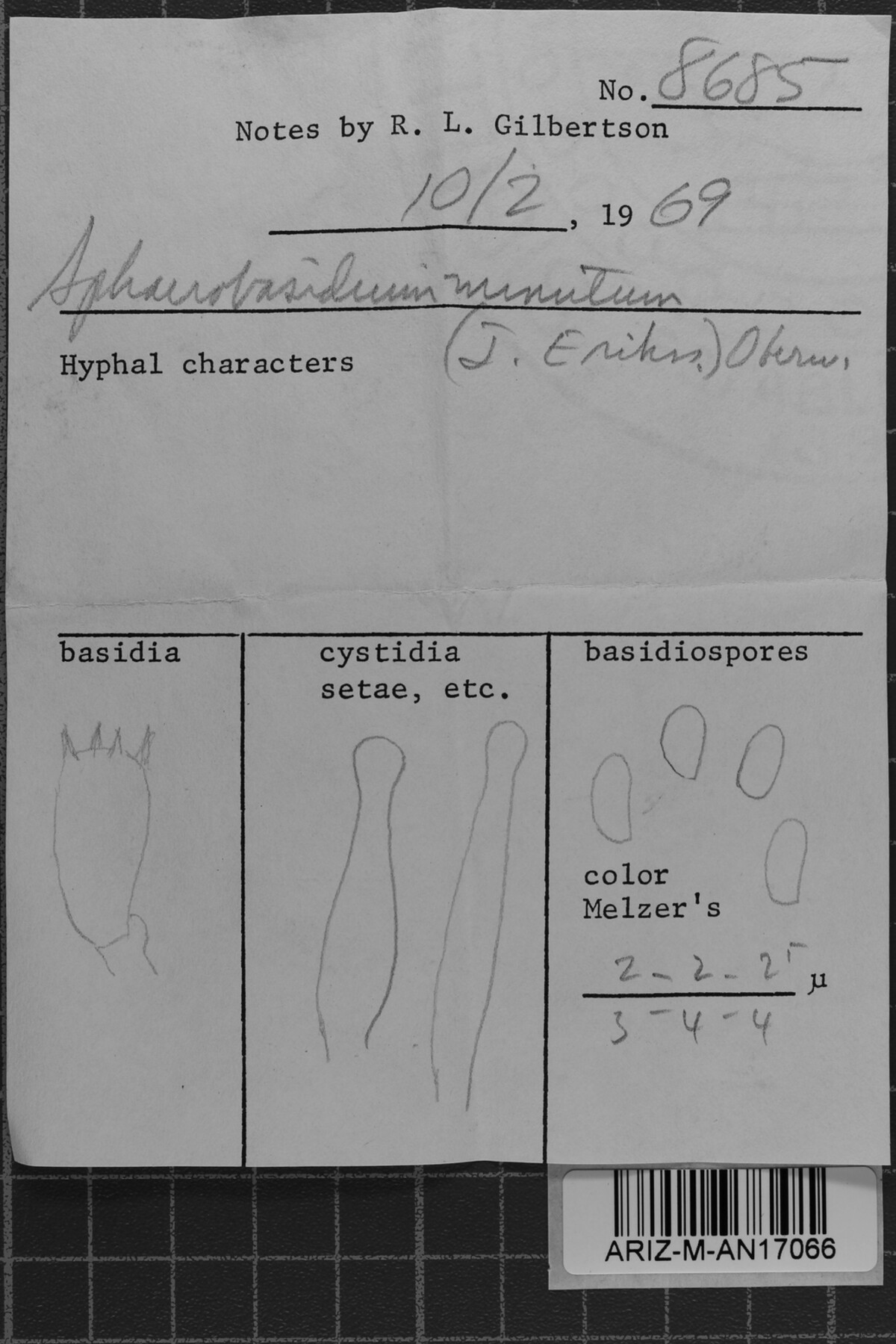 Sphaerobasidium image
