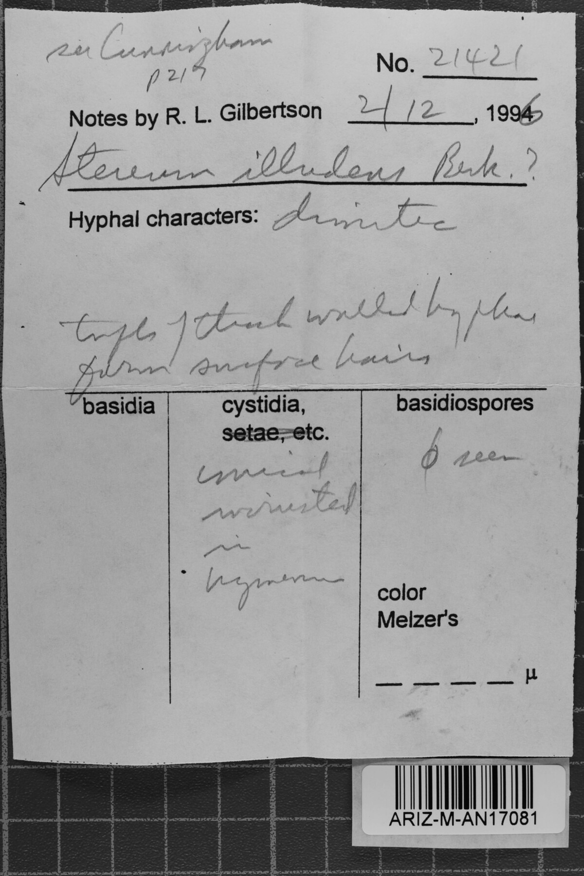 Xylobolus illudens image