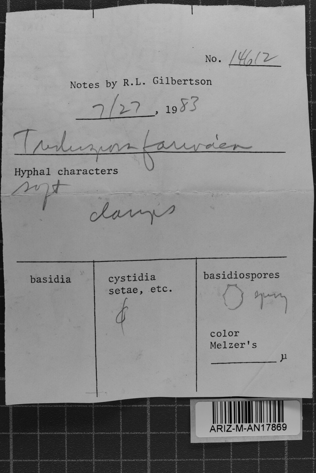 Trechispora farinacea image