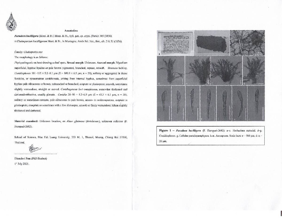 Passalora bacilligera image