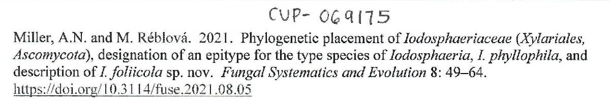 Iodosphaeriaceae image