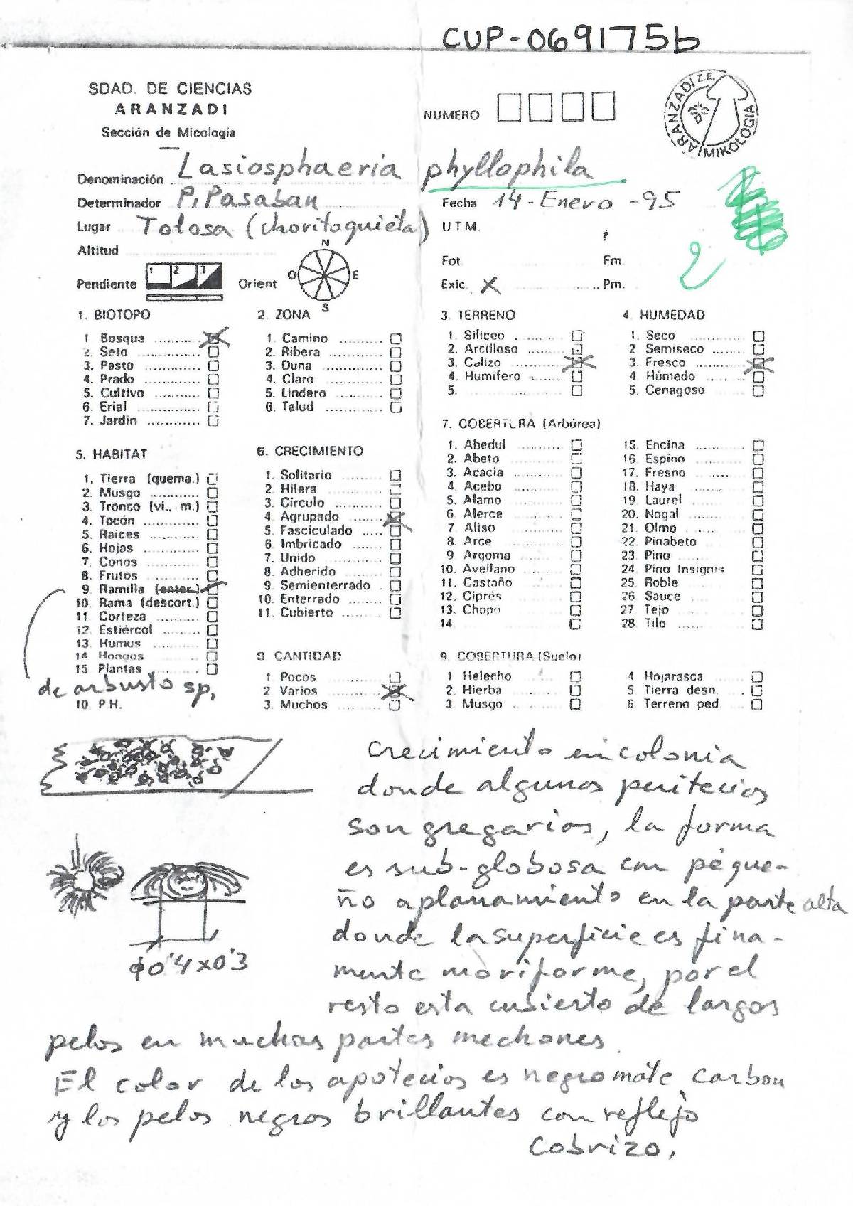Iodosphaeria image
