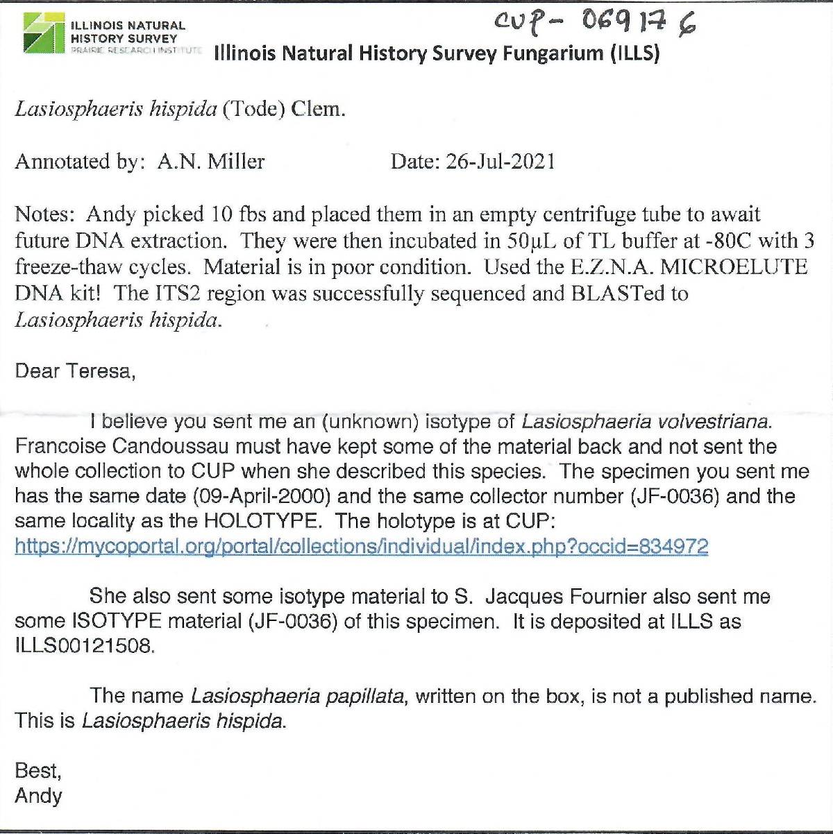 Lasiosphaeris image