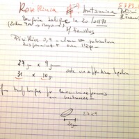 Rosellinia britannica image
