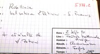 Rosellinia helvetica image