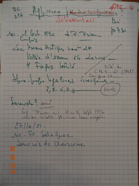 Hypocrea schweinitzii image