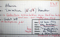 Peziza subisabellina image