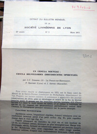 Urnula helvelloides image