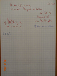 Heterosphaeria alpestris image