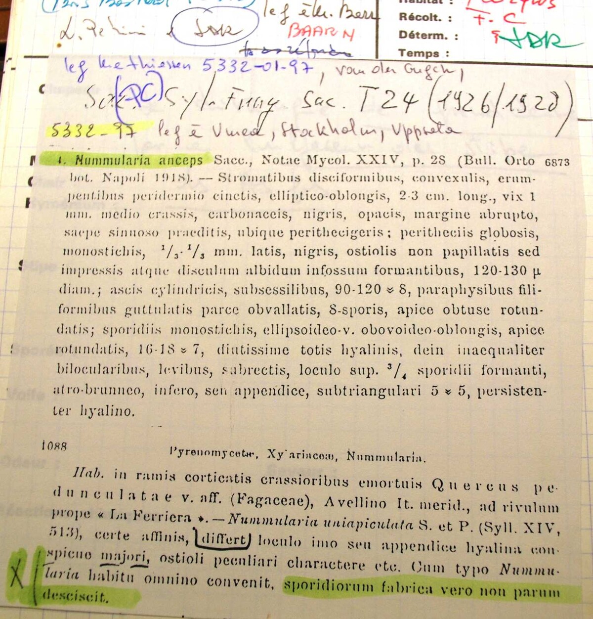 Biscogniauxia anceps image