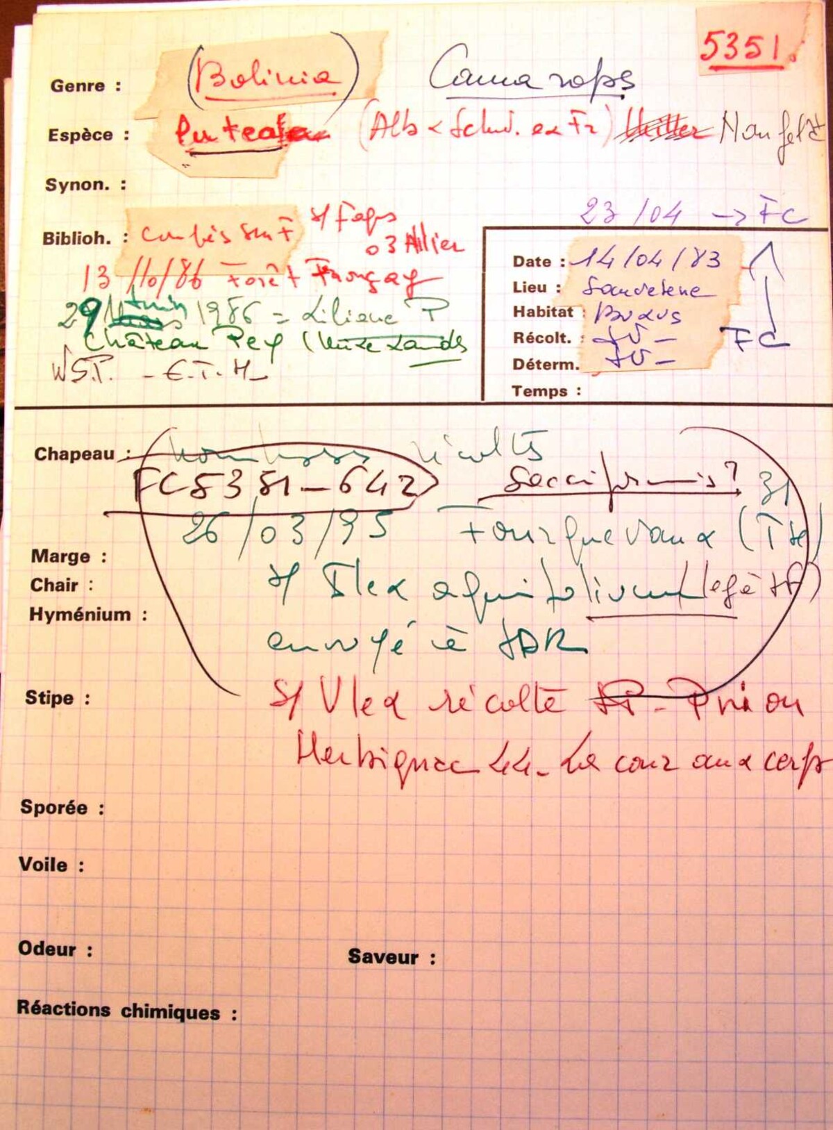Camaropella image