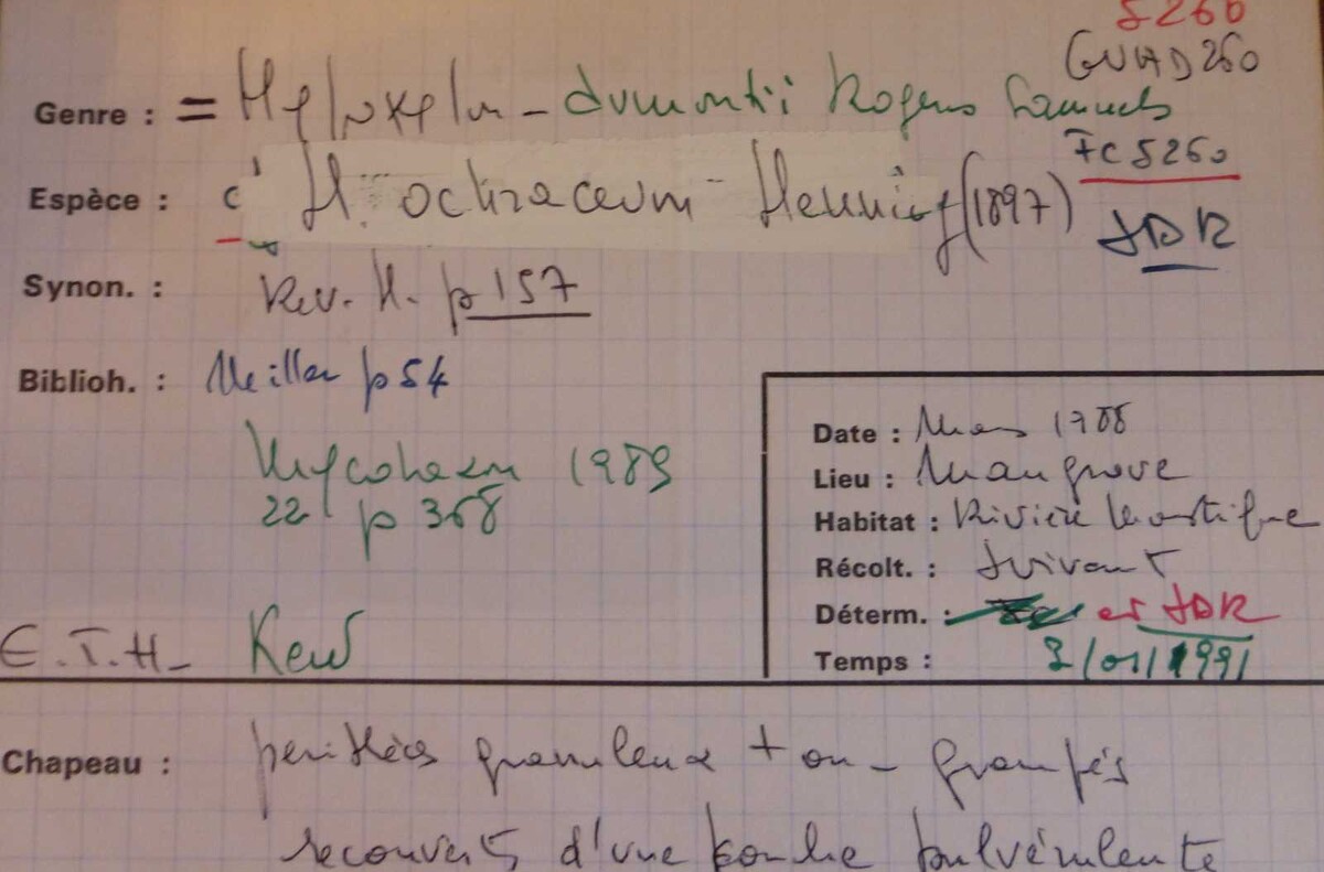 Hypoxylon dumontii image
