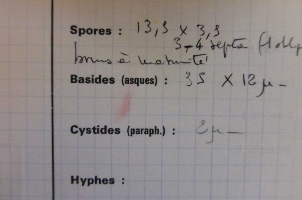 Capronia image