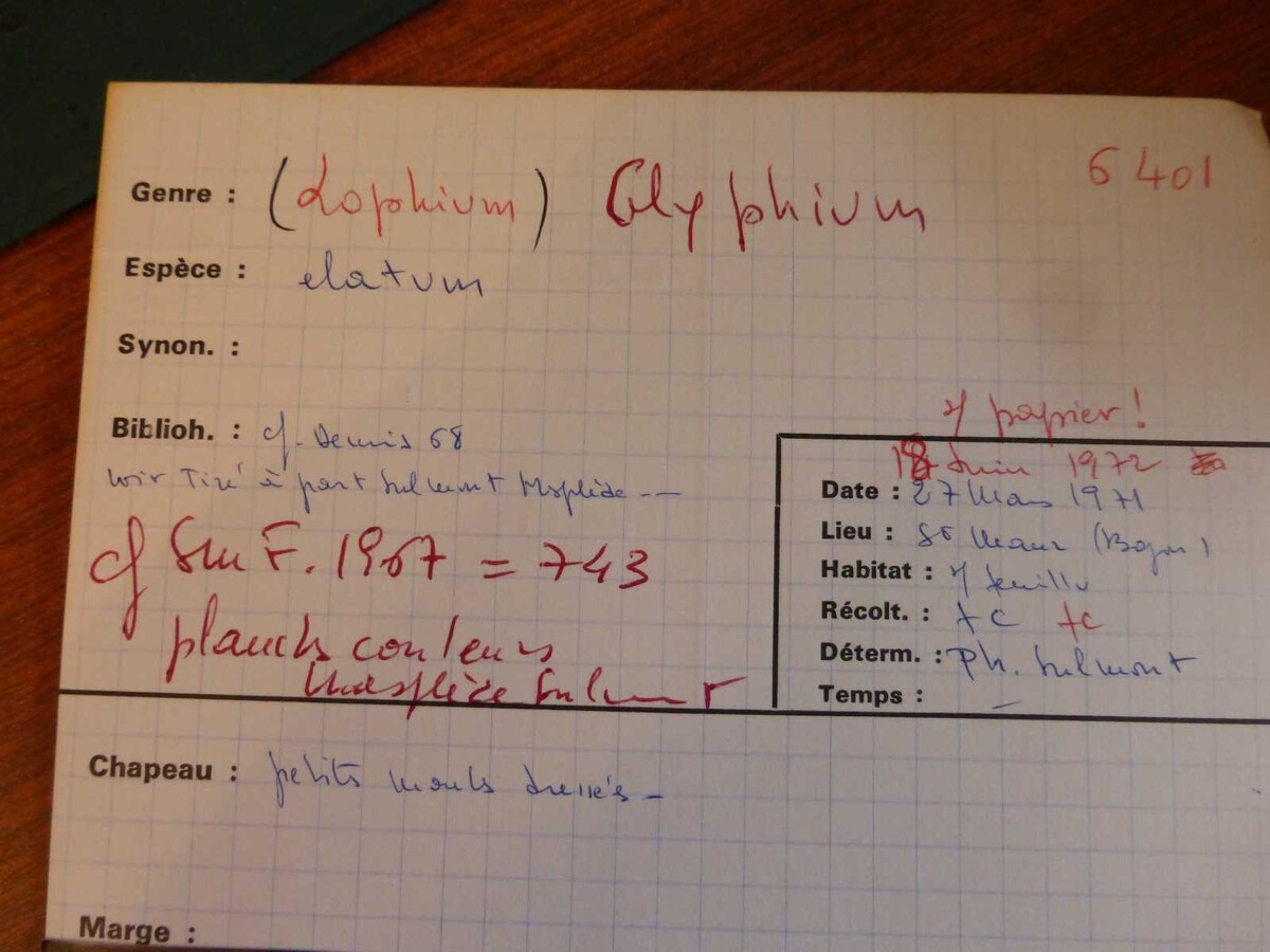 Lophium image