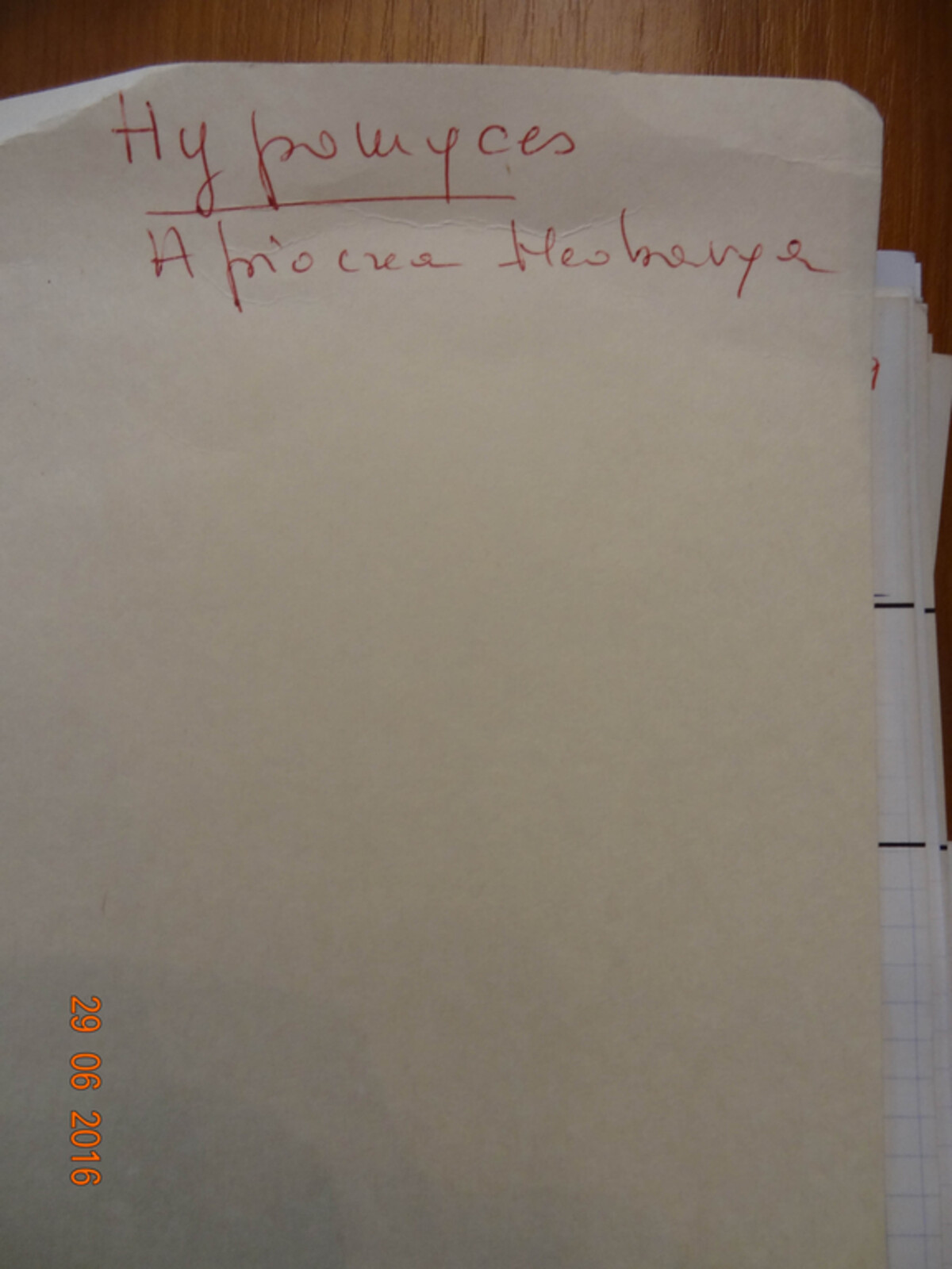 Phaeostoma juniperinum image