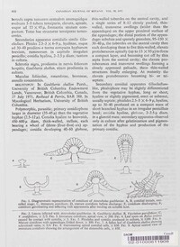 Valdensia heterodoxa image