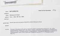 Butlerelfia eustacei image