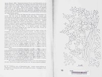 Podosordaria ingii image