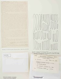 Tympanis piceina image