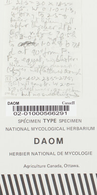 Uropyxis arisanensis image