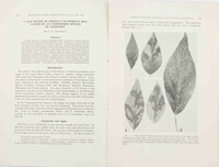 Linospora tetraspora image