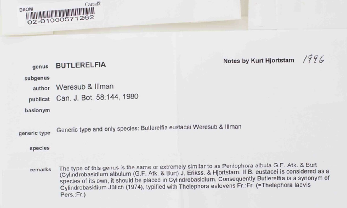 Butlerelfia eustacei image