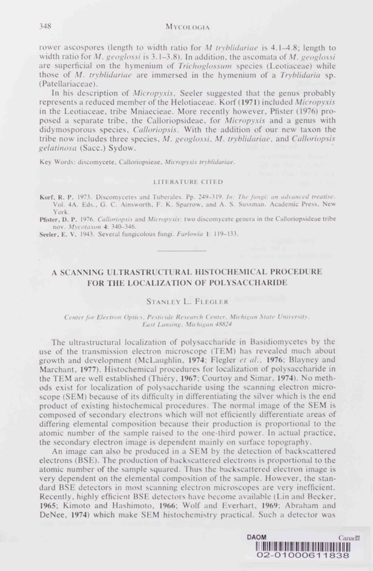 Micropyxis tryblidariae image