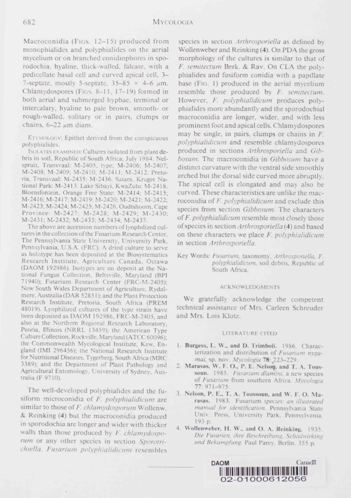 Fusarium polyphialidicum image