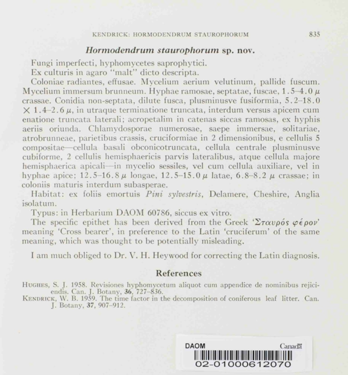 Devriesia staurophora image