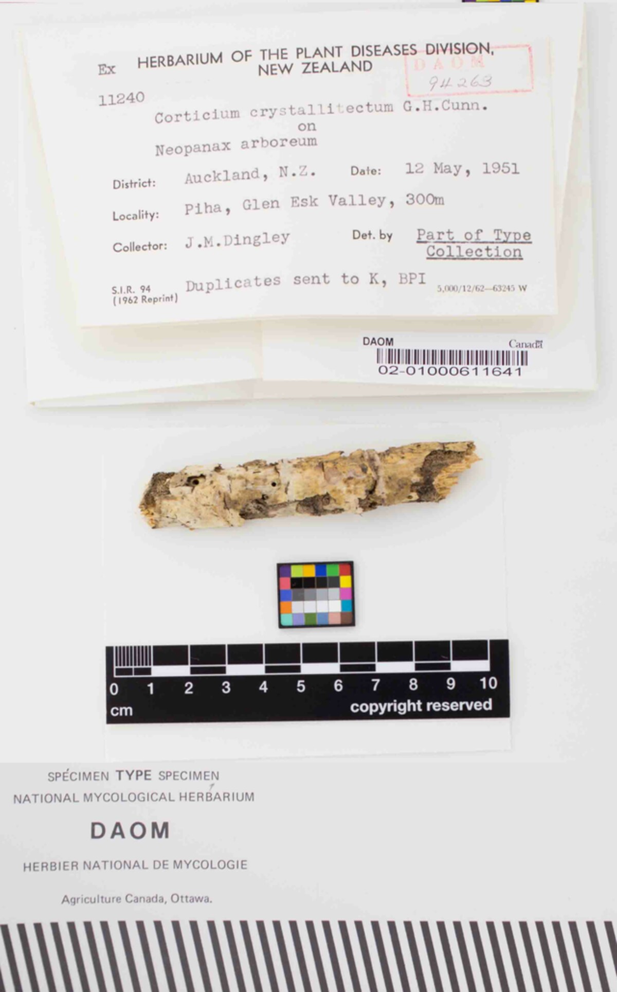 Boidinia peroxydata image