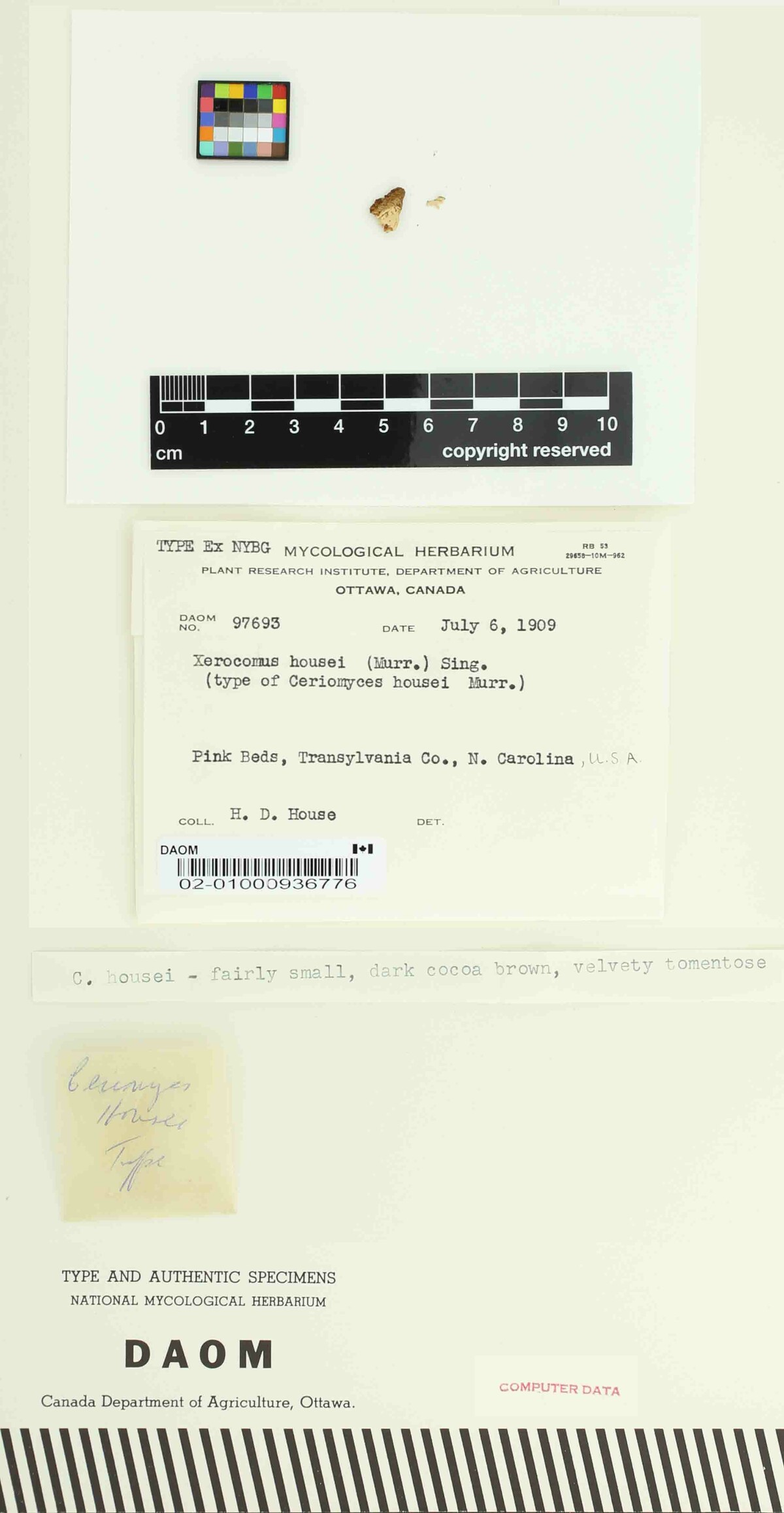 Xerocomus housei image