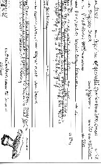 Agaricus gennadii image