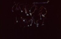 Collybia cookei image