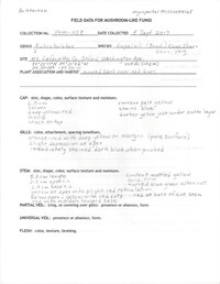 Rubroboletus dupainii image