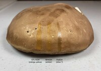 Tylopilus rubrobrunneus image