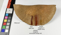 Boletus durhamensis image