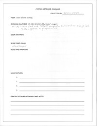 Boletus durhamensis image