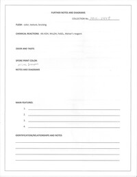 Boletus durhamensis image